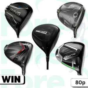 New Driver of your choice 2025 Model #42