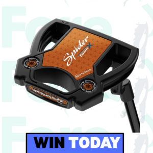 WIN A TAYLORMADE TOUR SPIDER PUTTER **AUTODRAW** #6
