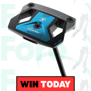 NEW EDITION TAYLORMADE 5K ZT SPIDER PUTTER #29